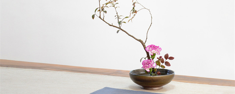 花泥插花每天要浇水吗 插花花泥怎么浇水