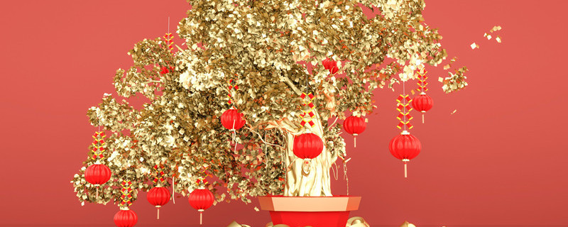 金钱树怎么养 金钱树怎么养殖方法注意事项