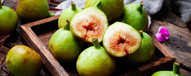 无花果施肥用什么肥料(无花果树施什么肥料)