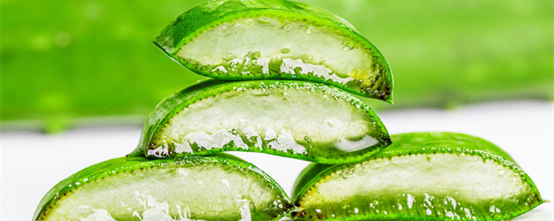 芦荟是叶繁殖还是根繁殖（芦荟是叶繁殖吗）