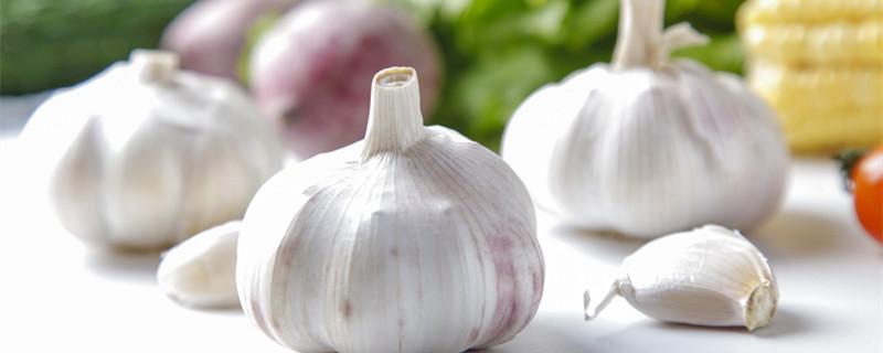 大蒜怎么保存不发芽（大蒜怎么保存不发芽不干瘪）