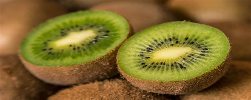 软枣猕猴桃能盆栽吗 软枣猕猴桃好种植吗