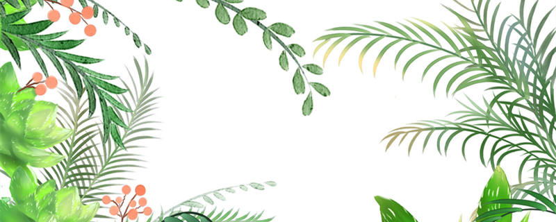 散尾葵的养殖方法和注意事项（散尾葵的养殖方法和注意事项视频）