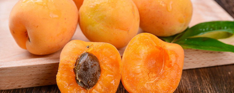 杏核种子砸开能种植吗(杏核能种出来吗)