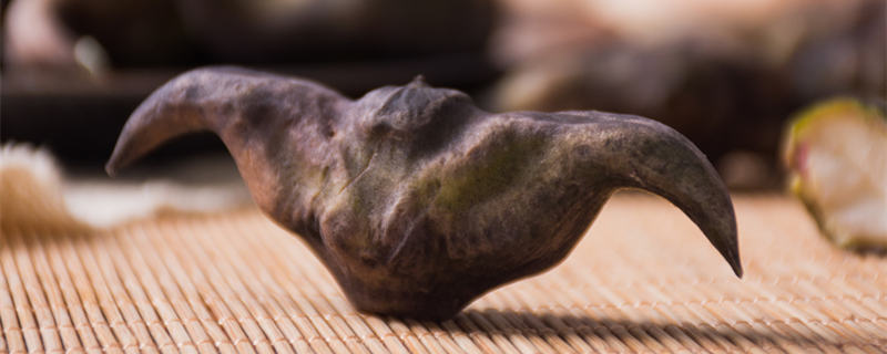 菱角的繁殖方式是什么（菱角怎么种植?菱角的繁殖方法和种植技术）