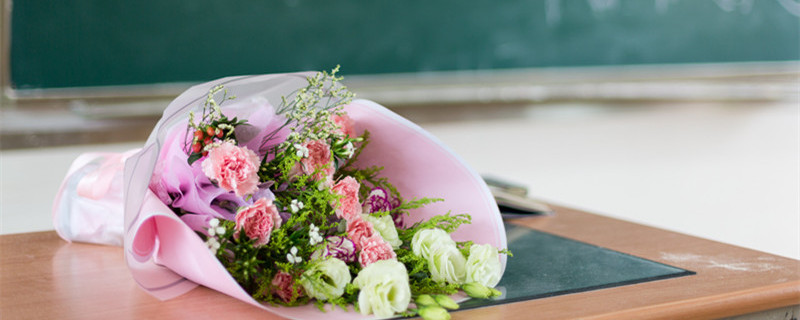 康乃馨地栽能过冬吗 康乃馨地栽冬天会不会冻死