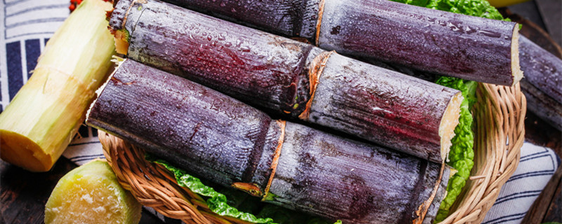 甘蔗几月种植 甘蔗几月份种植