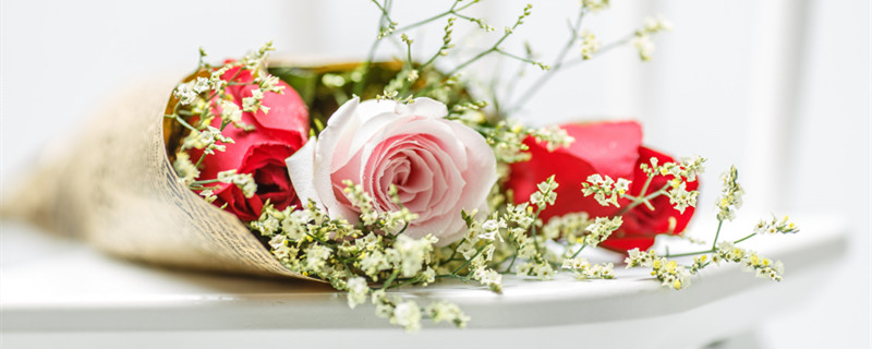 玫瑰是哪个国家的国花 哪些国家的国花是玫瑰