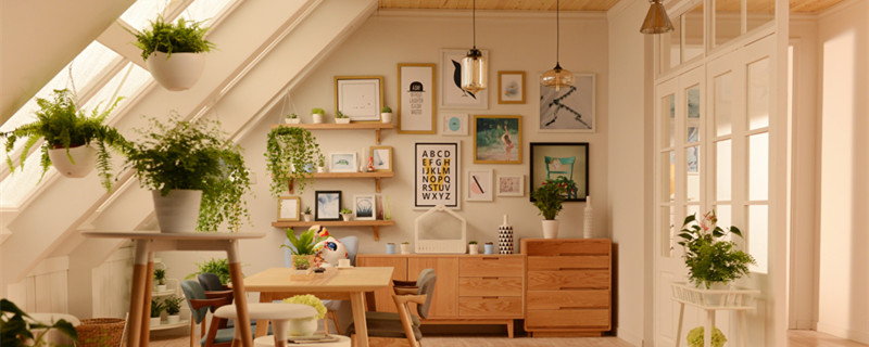 室内幸福树多长时间浇一次水 幸福树多长时间浇一次水合适