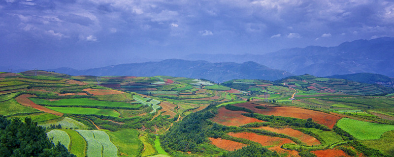 红土的作用与用途 红土有什么用途