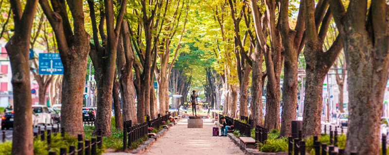 南京梧桐树在哪（南京梧桐树在哪条路）