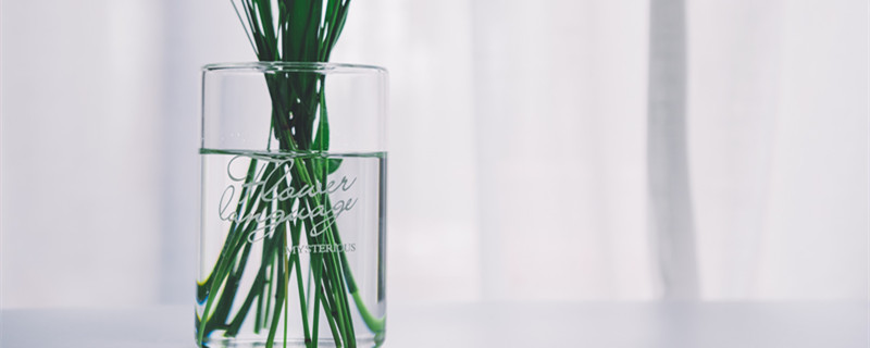 水培植物能用化肥吗（水培植物可以施肥吗）