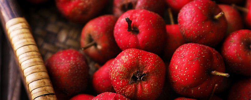 山楂树有刺吗 山楂树有没有刺