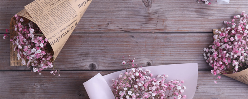 一束满天星代表什么意思 一束满天星是什么意思