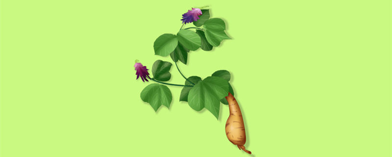 葛花什么时候开花（葛花啥时候开花）