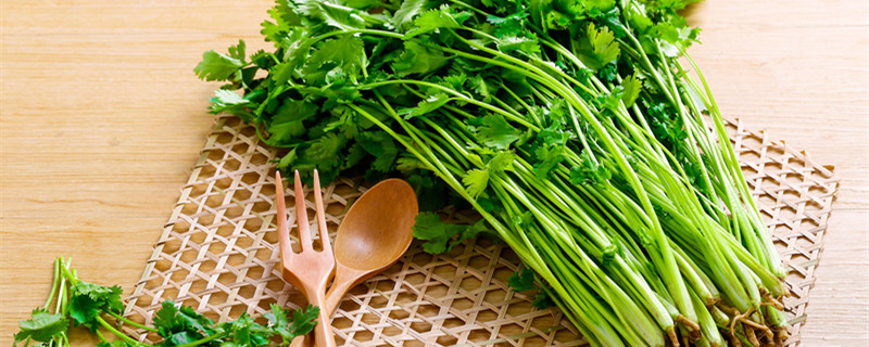 吃香菜会长斑吗 夏天吃香菜会长斑吗