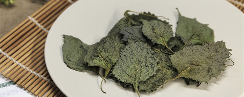 紫苏的种植和繁殖方法（紫苏的种植方法）