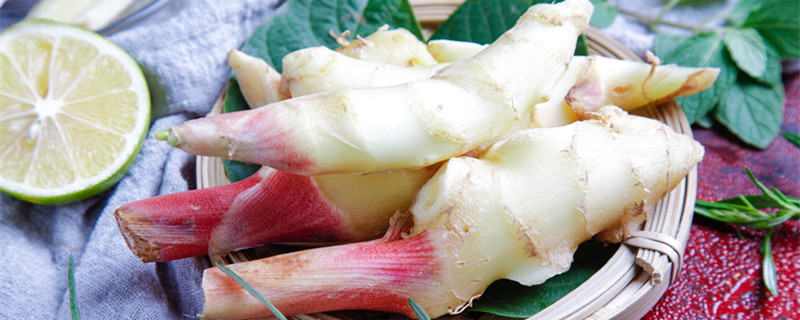 姜叶尖上黄了干枯怎么办 大姜叶尖干枯是怎么回事?