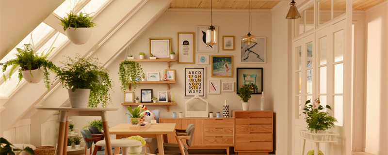 金钱树叶子黄了要剪吗（金钱树有些叶子黄了要剪吗?）