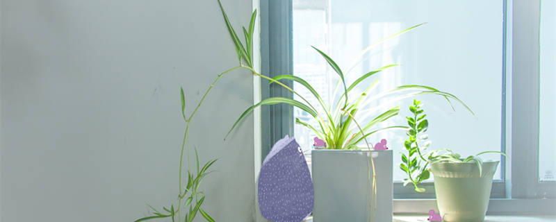 卧室床头适合放什么花 卧室床头适合放什么花招桃花