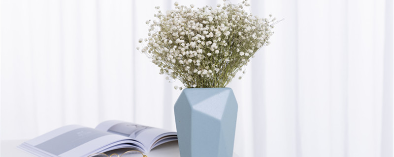 圆锥石头花花语 圆锥石头花花语可以送给母亲吗