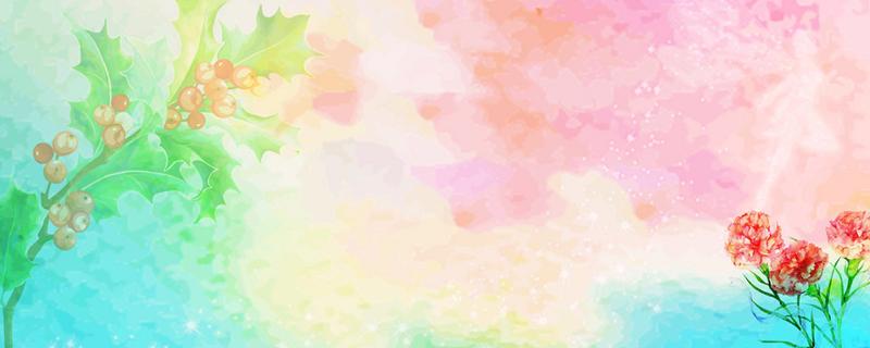 花叶上的小白虫怎么办 花叶小白虫子怎么办