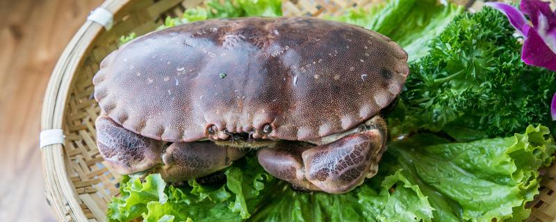 梭子蟹和飞蟹是一个品种吗（梭子蟹和大飞蟹是一个吗）