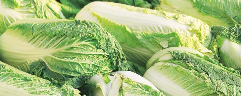 春天成熟的庄稼有什么（冬天什么庄稼成熟了）