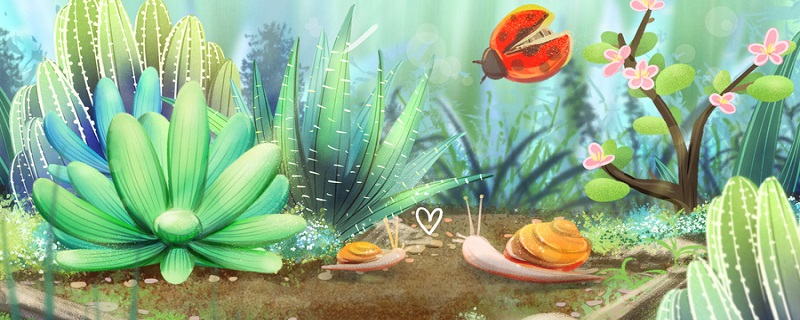 蕾丝公主的养殖方法及注意事项 蕾丝公主可以水培吗