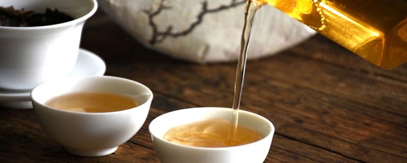 白茶产地（白茶产地排名）