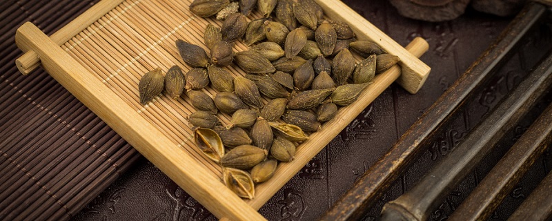 苍耳靠什么传播种子 苍耳靠什么传播种子的答案