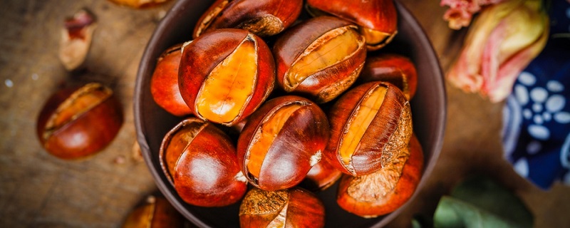 板栗怎么保存不会坏（板栗怎么保存不会坏还新鲜视频）