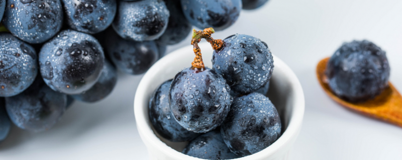 葡萄品种（葡萄品种有哪些）