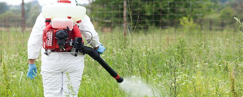 除草剂种类（除草剂种类及使用方法）
