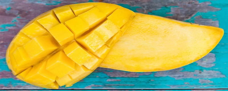 芒果一般什么时间种（芒果一般什么时间种最好）