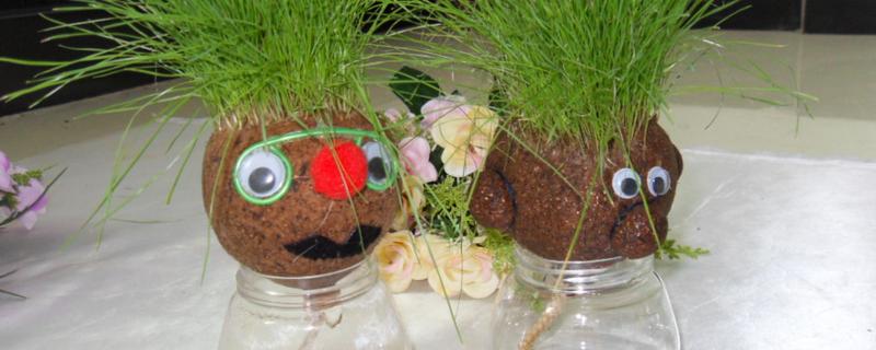 负离子植物的种植方法,负离子植物有哪些优点