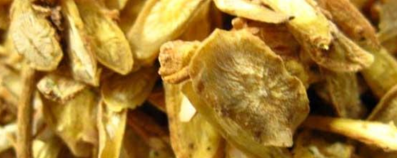 黄芩高产栽培技术,黄芩怎样繁殖 黄芩怎么种植高产