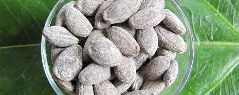 吊瓜子亩产量多少（吊瓜子亩产多少斤）