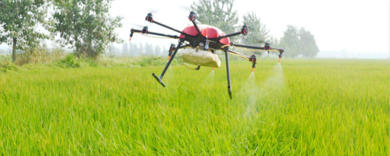 无人机打农药的弊端 无人机打农药的好处