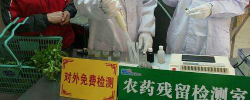 水果农药残留检测（水果农药残留检测部门）