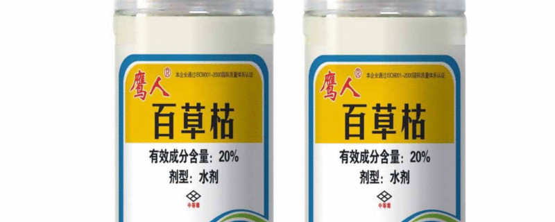 草胺磷与百草枯的区别（百草枯和有机磷）