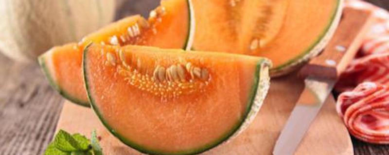 哈密瓜种植留几根蔓 哈密瓜留几个藤