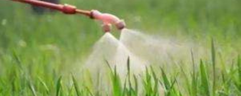 除草剂的危害 果园打除草剂的危害