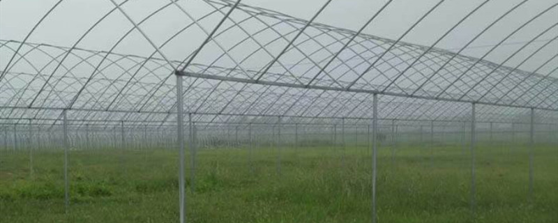 大棚吊秧绳使用方法 吊秧绳的使用方法