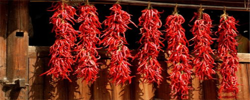 辣椒常见病害与用药 辣椒常见病害与用药方法