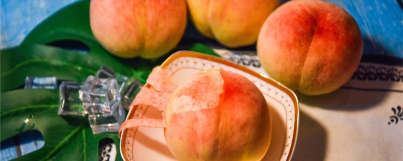 水蜜桃种植时间（水蜜桃种植时间与方法）