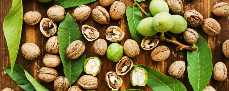 什么时间打核桃 什么时间打核桃最好