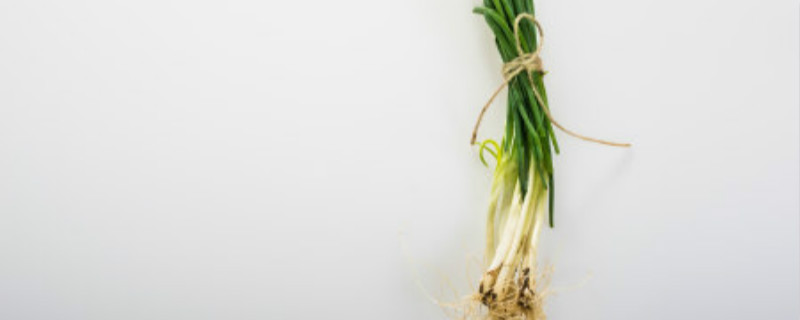 种植香葱的方法和禁忌（种植小香葱的方法和禁忌）