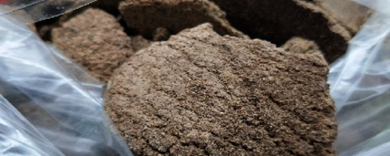 芝麻饼肥如何发酵腐熟（芝麻饼肥如何发酵腐熟视频）