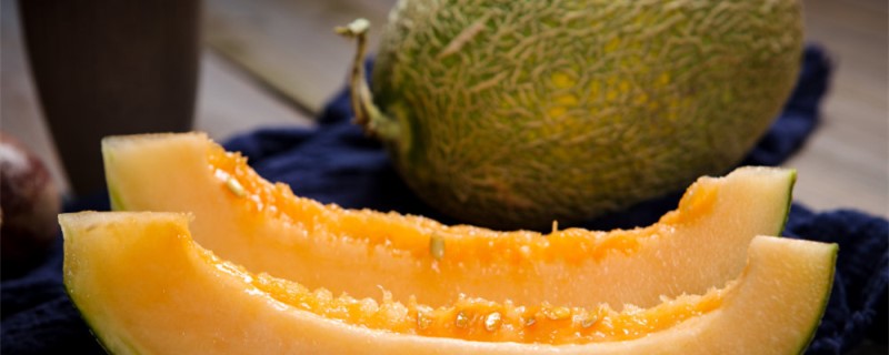 晓密瓜和哈密瓜的区别（哈密瓜和冬瓜的区别）